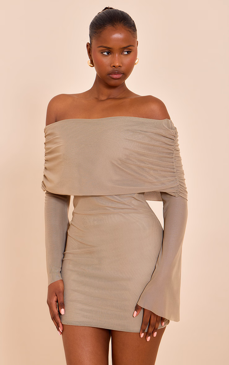 Taupe Lined Mesh Long Sleeve Mini Dress