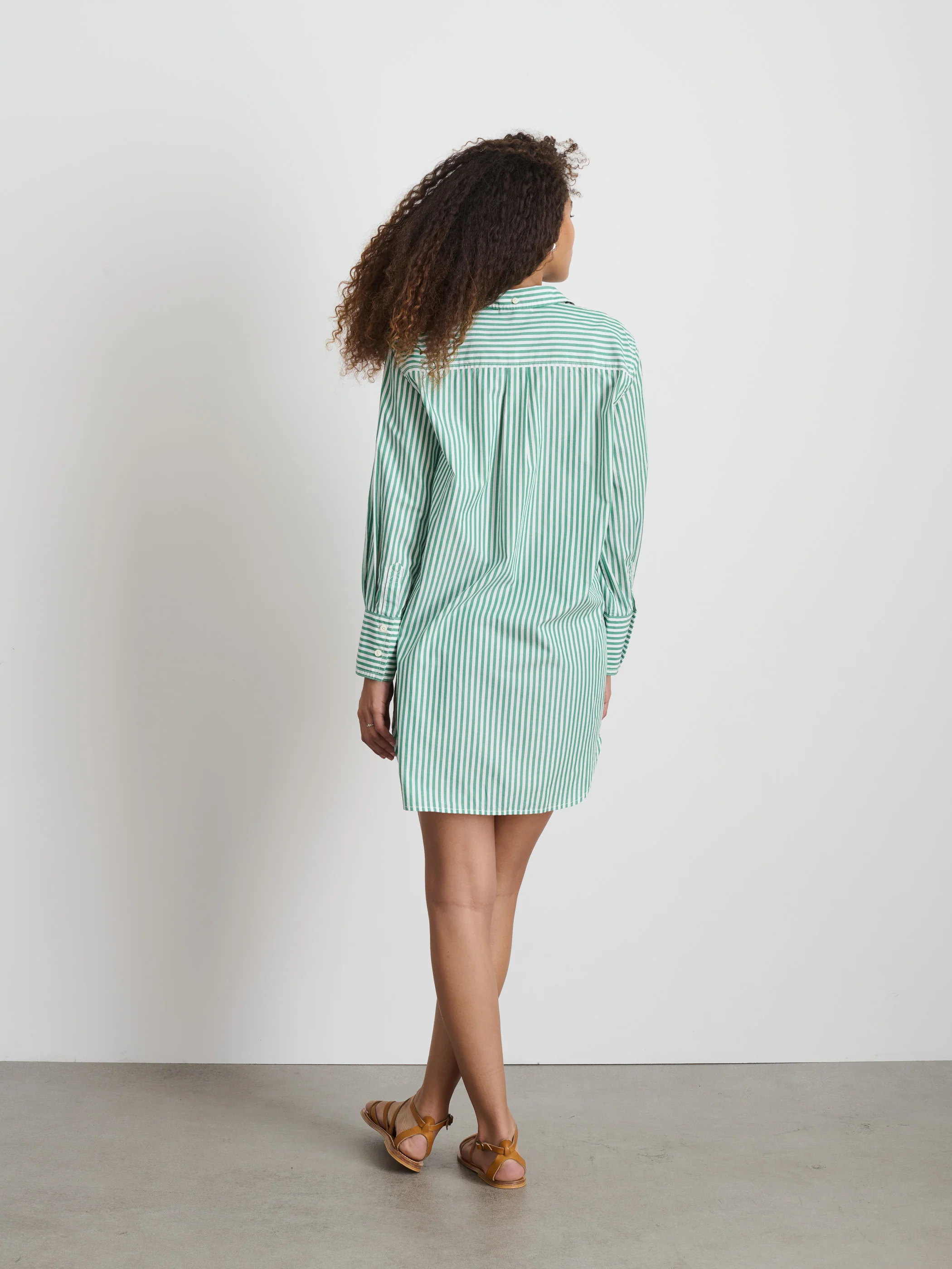 Belle Shirt Dress in Striped Cotton Poplin