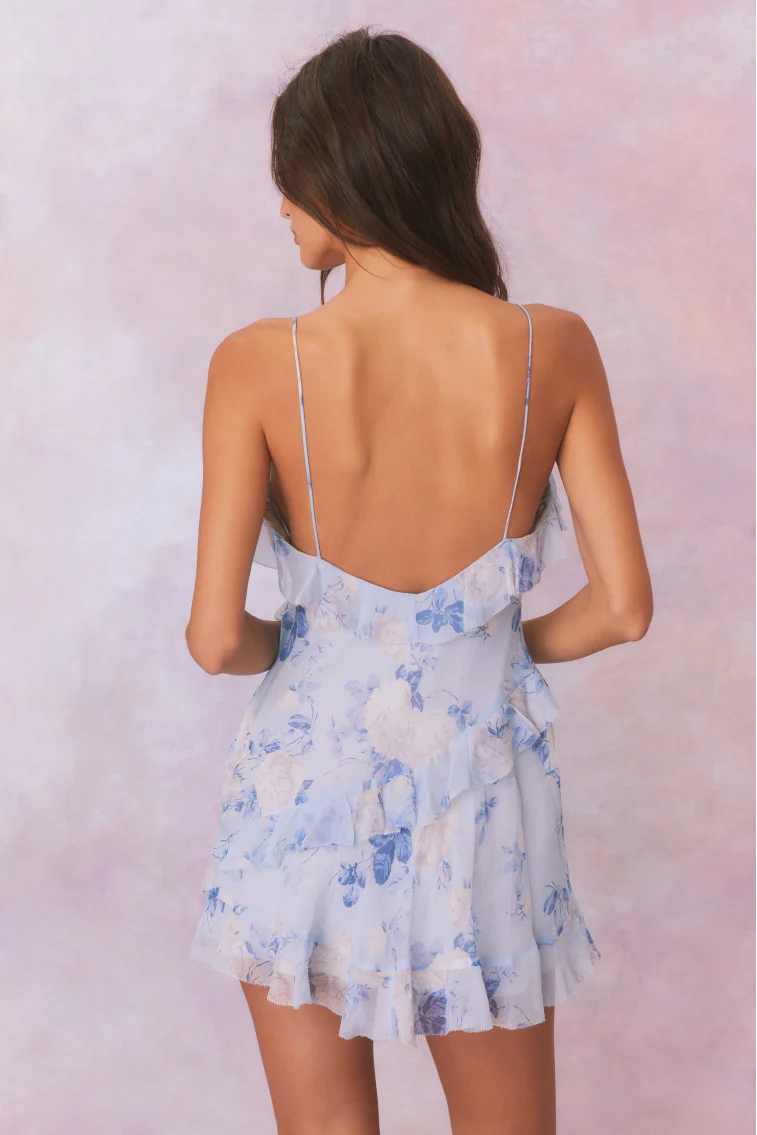 Lomina Heirloom Print Silk Mini Dress