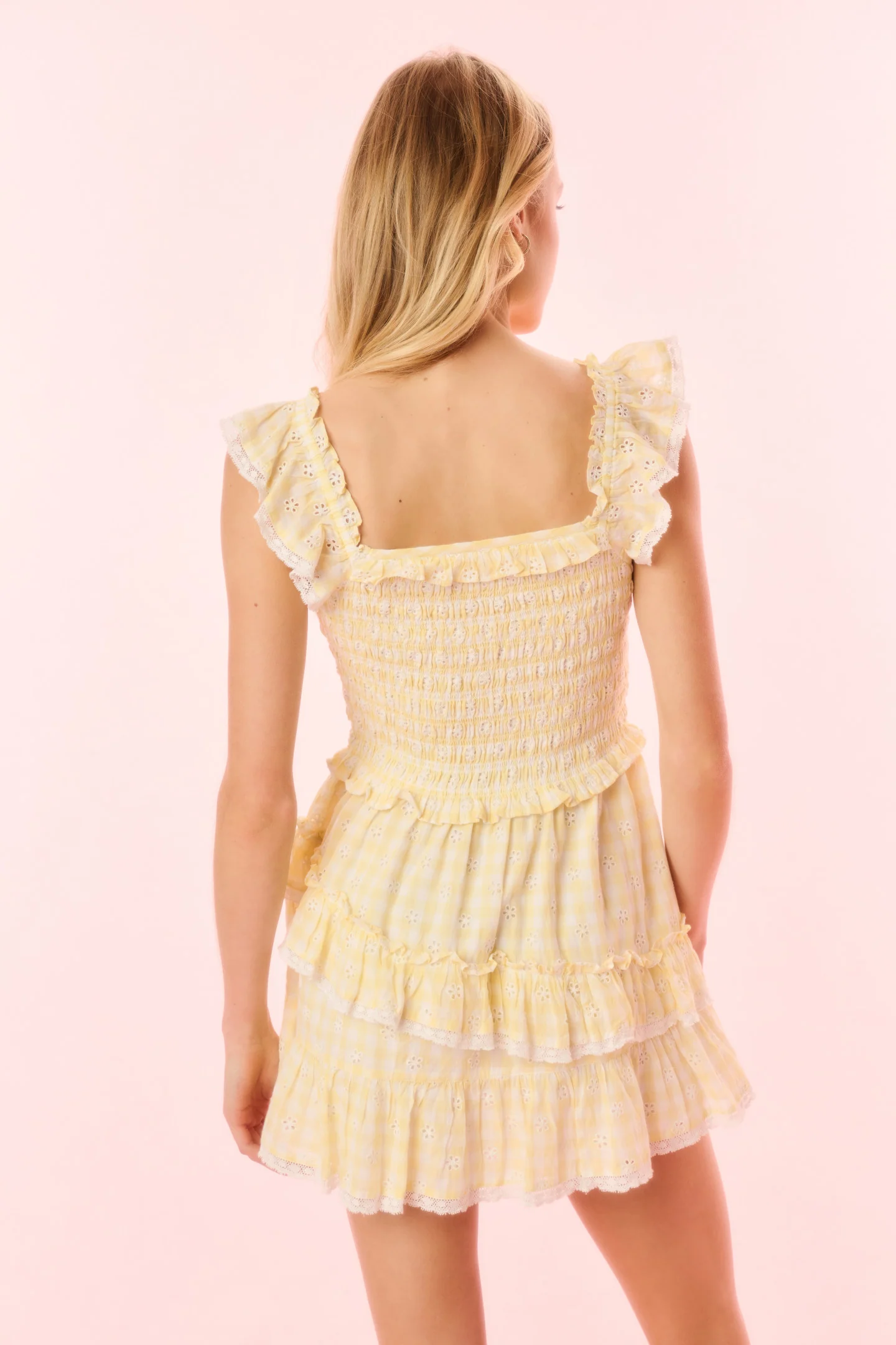 Aline Gingham Eyelet Mini Dress