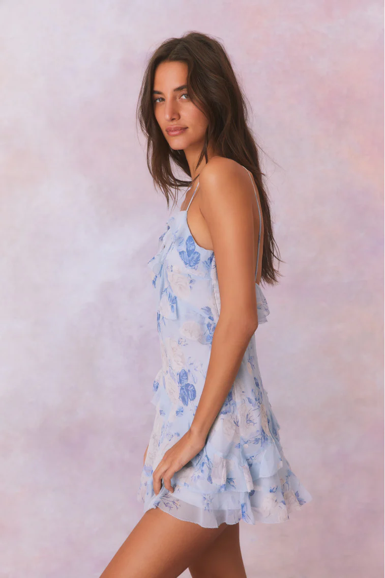 Lomina Heirloom Print Silk Mini Dress