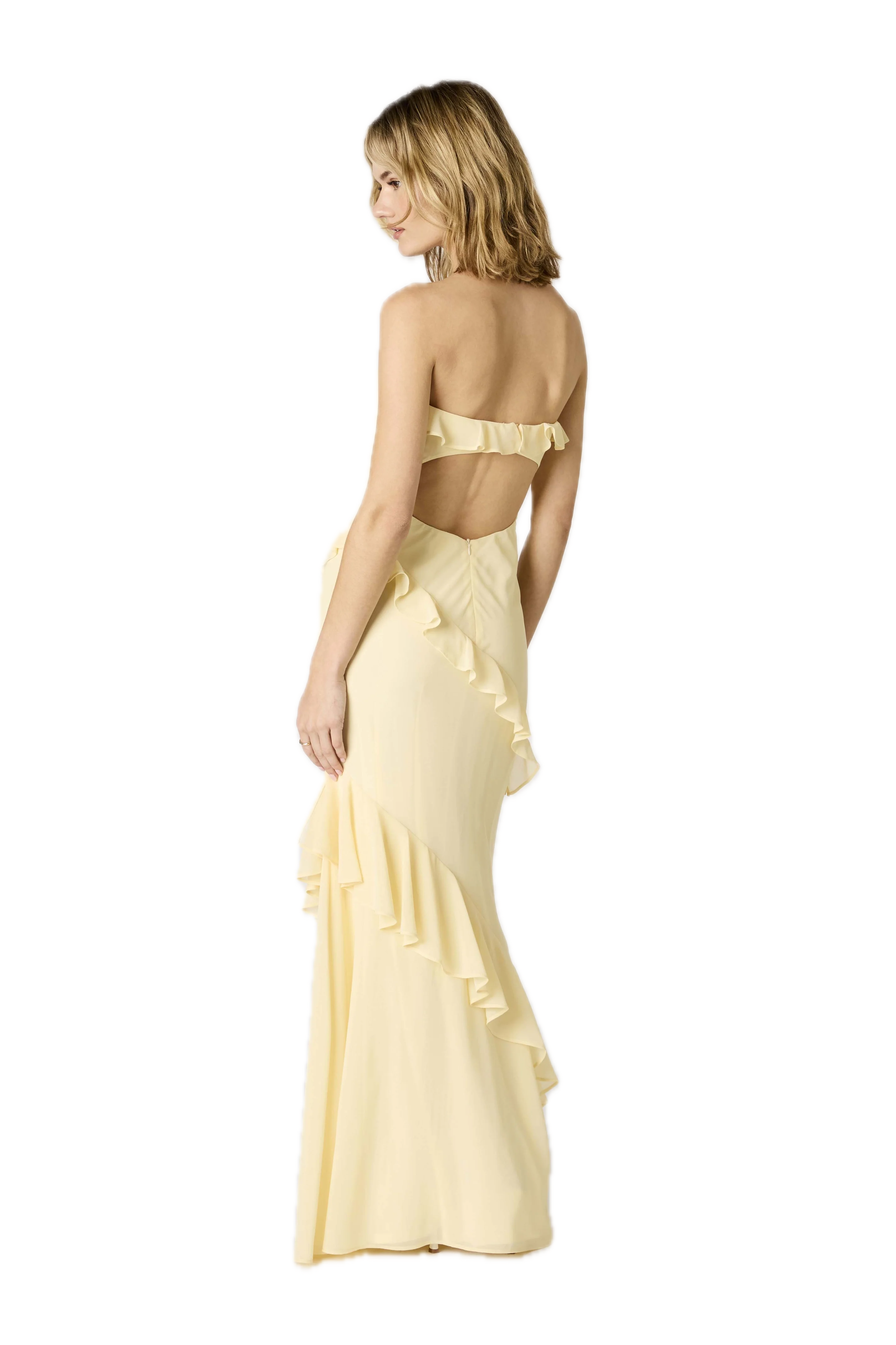 Fountain Maxi Dress