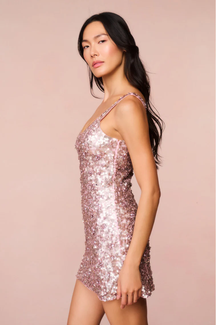 Dorrina Sequined Mini Dress
