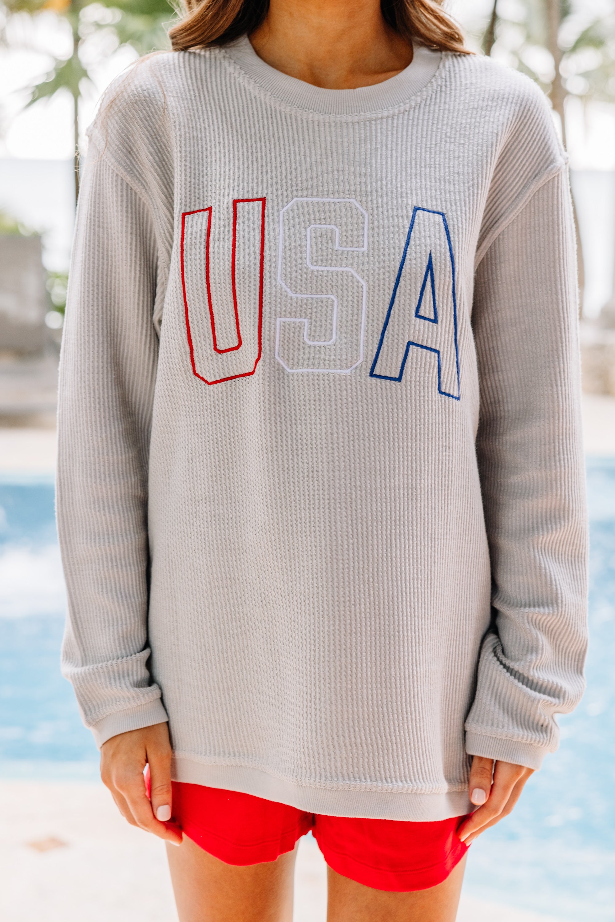 CHIRNAISHOP - USA Silver Gray Embroidered Corded Sweatshirt