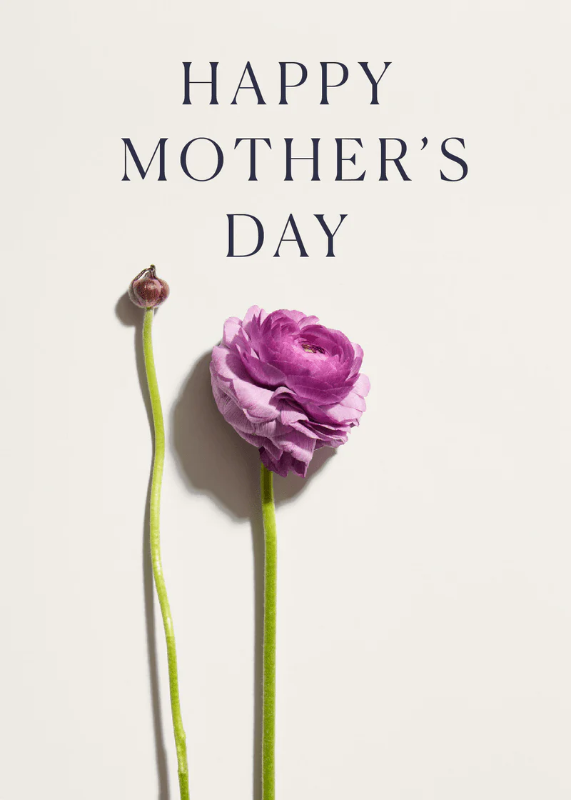 Bogg Mother's Day Greeting Card
