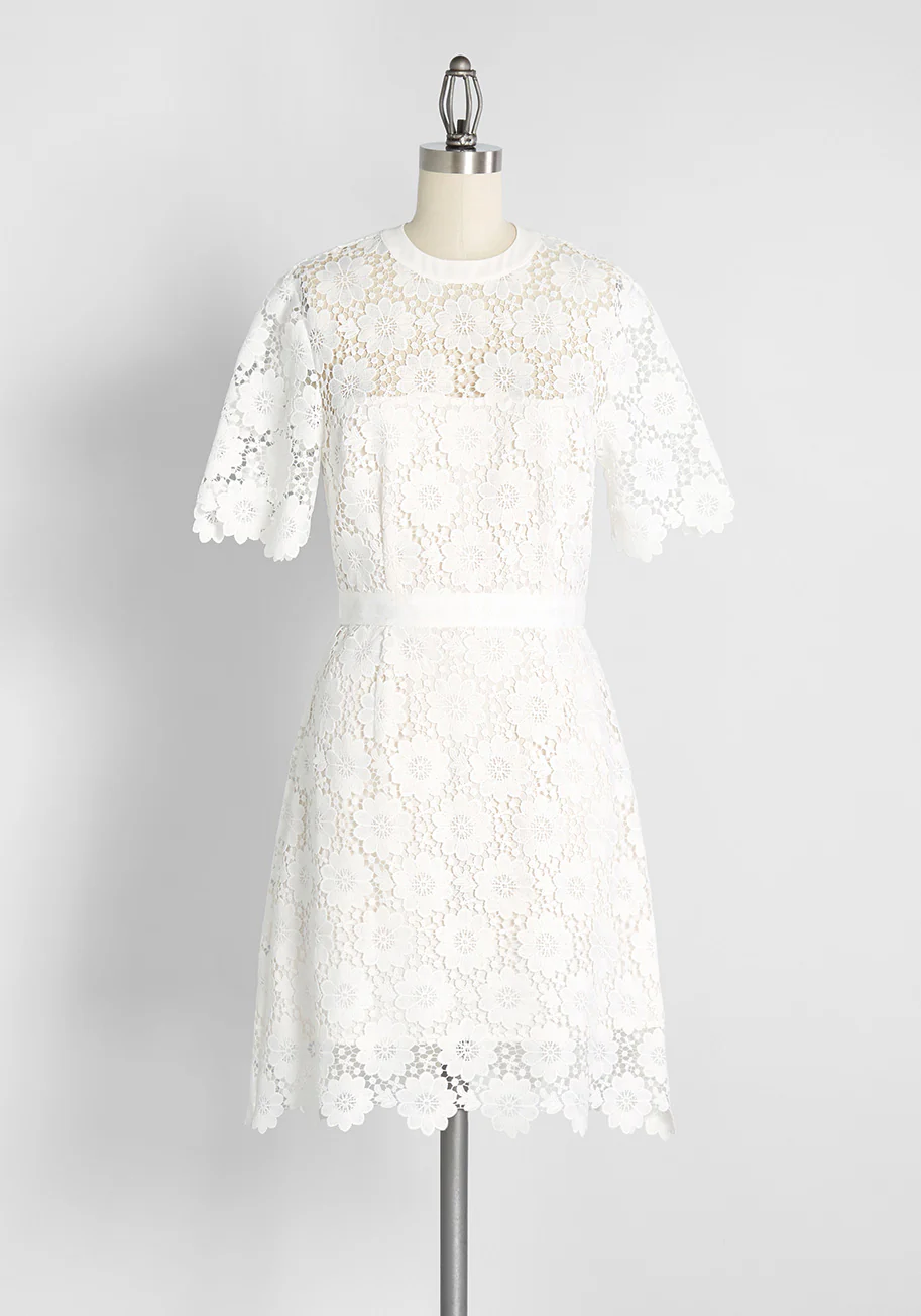 In Delicate Detail Mini Dress