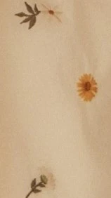 Demi Mini Dress - Leilani Print