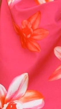 Hanae Mini Dress - Pink Floral