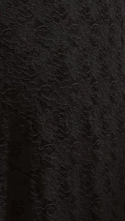 Cerelia Maxi Dress - Black Lace