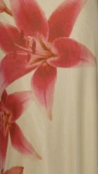 Nina Maxi Dress - Yellow Paradise