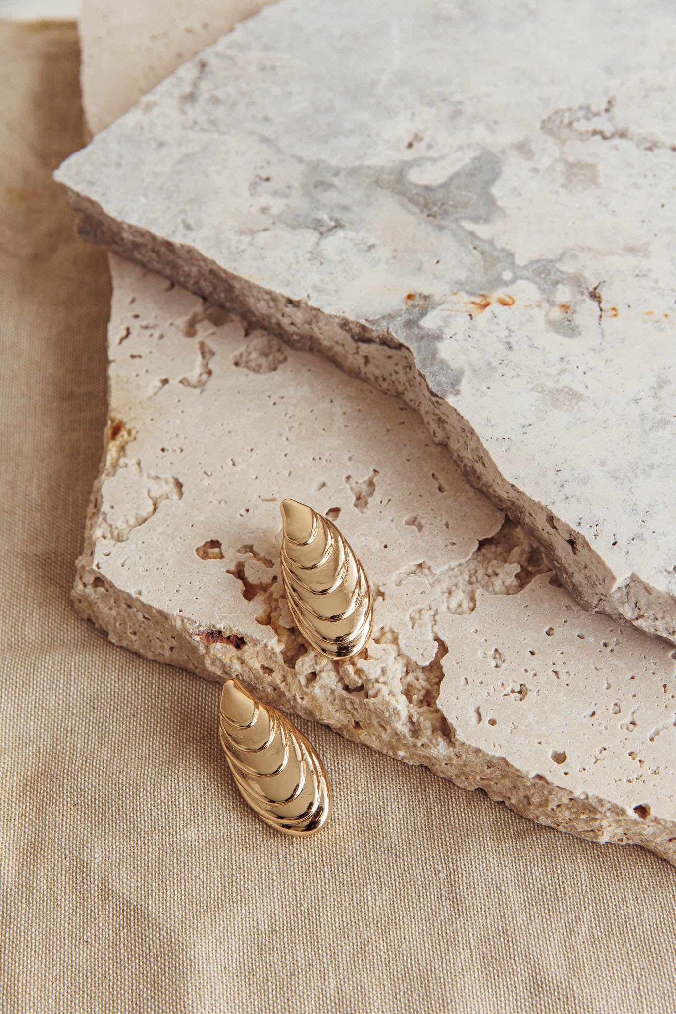 Pippy Shell Earrings Gold