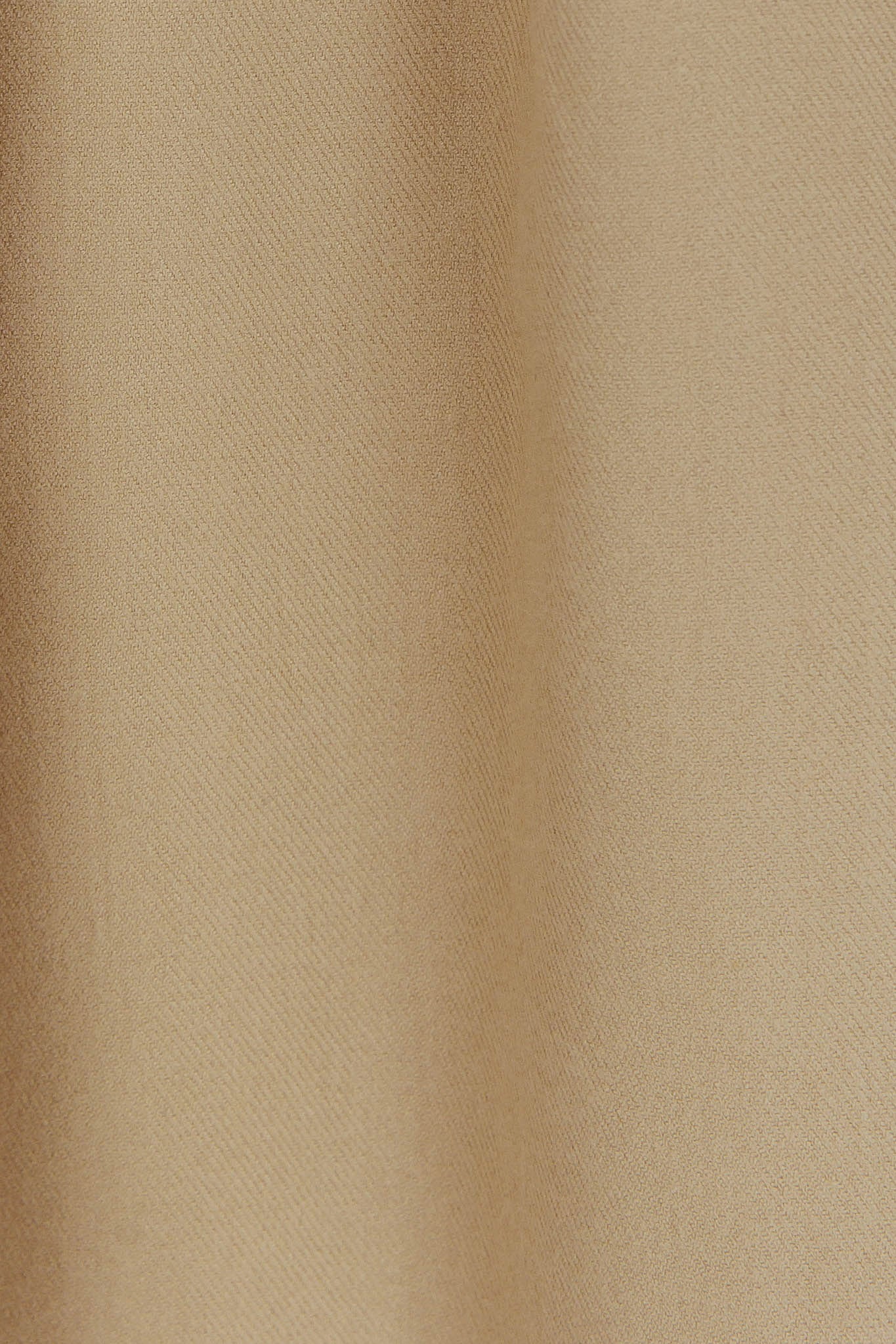 Diona Cashmere and Wool Fringed Scarf Beige