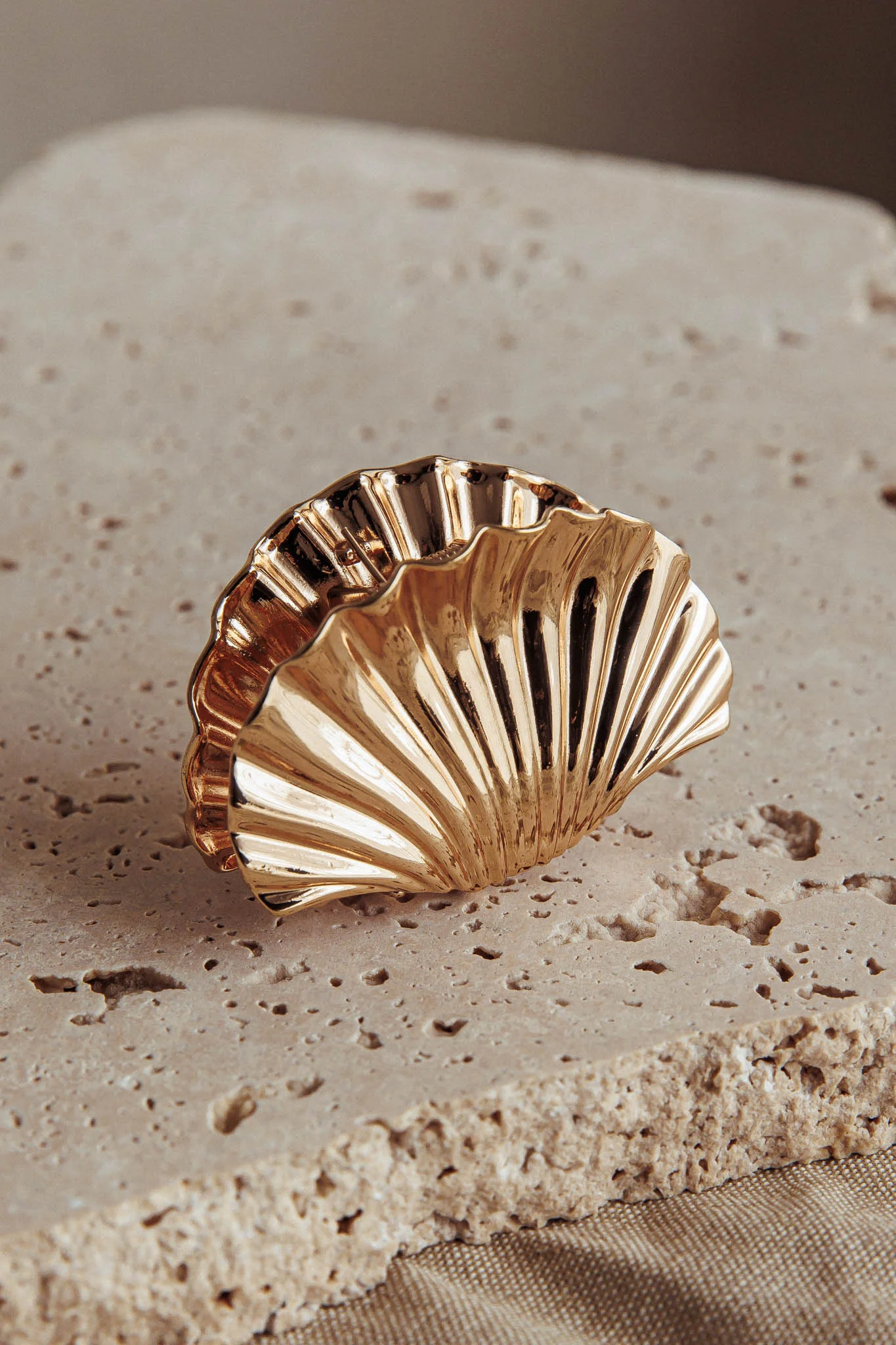 Palm Beach Shell Clip Gold
