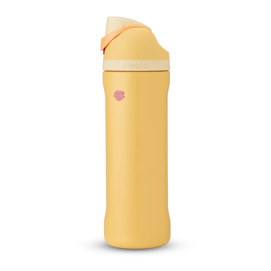 Owala Disney Princess Collection Bottle