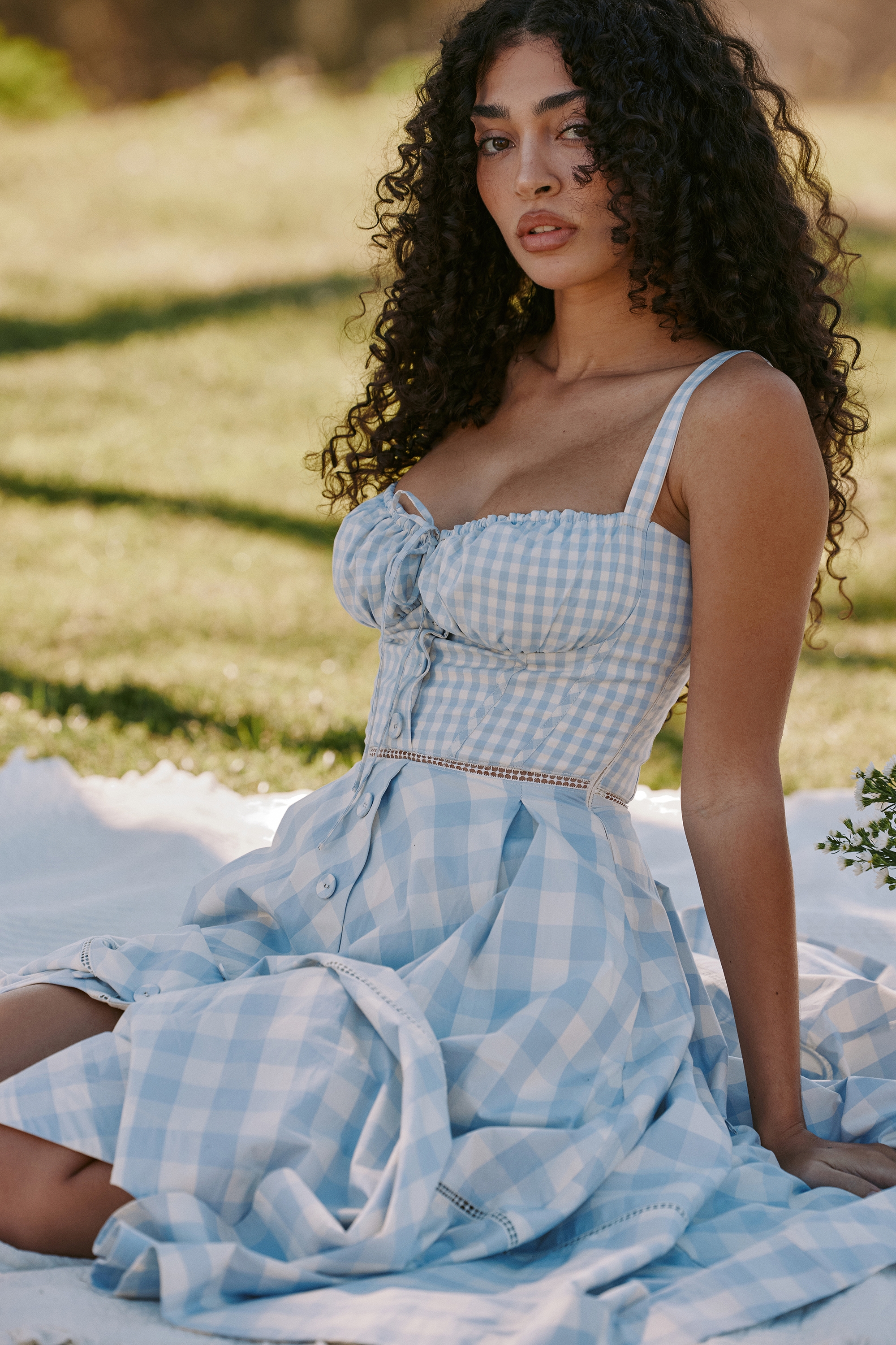 Light Blue Gingham Stretch Cotton Midi Dress
