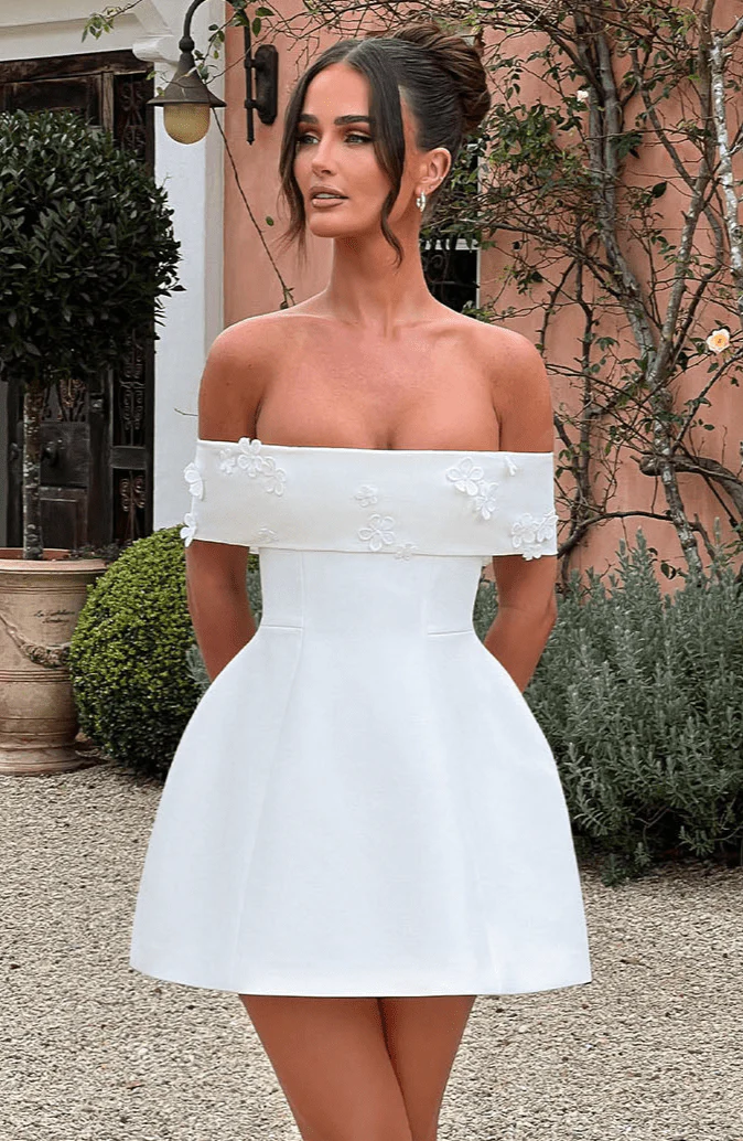 YGroup_laurel-mini-dress