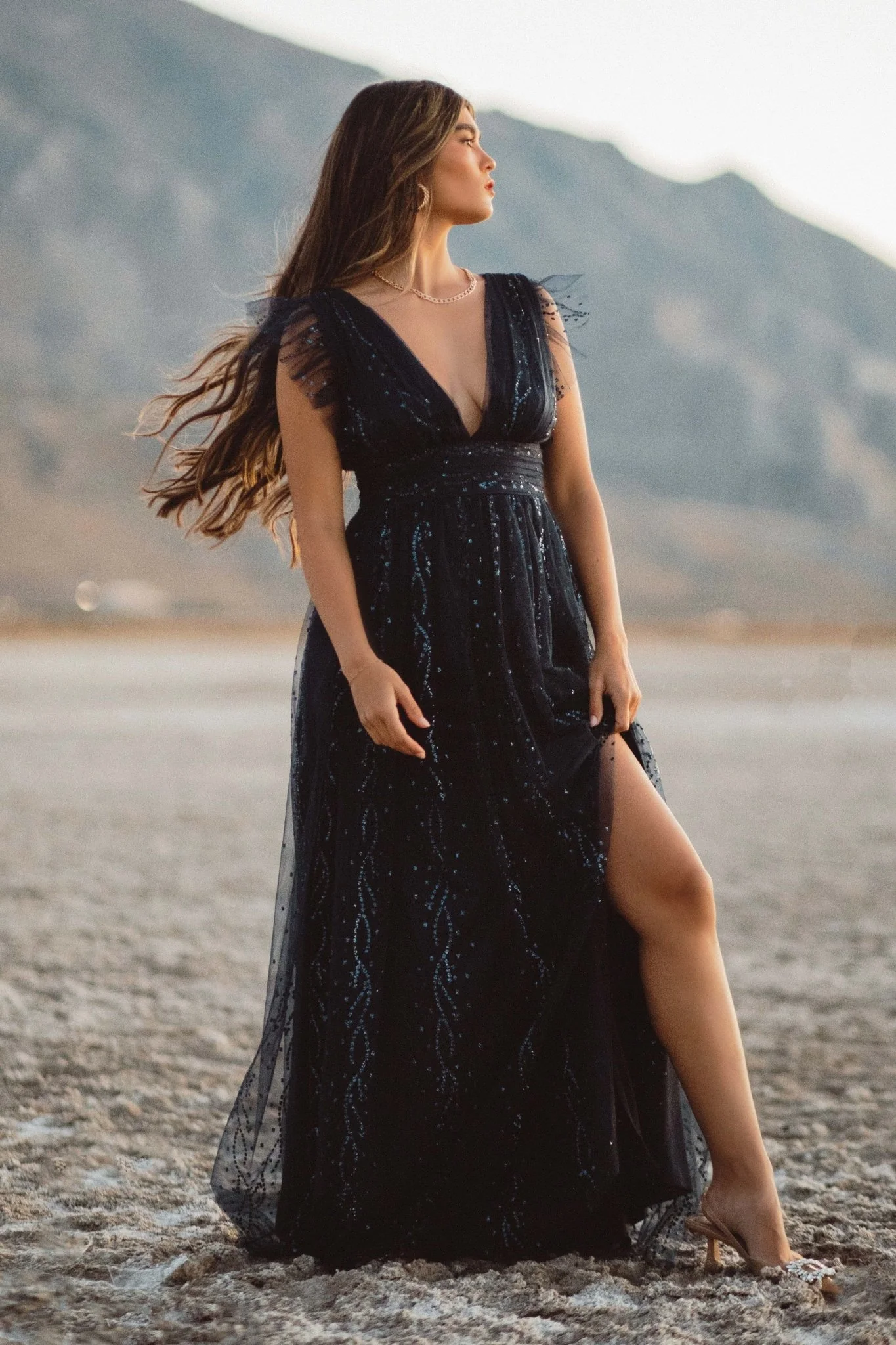 Annika Sequin Mesh Maxi Dress | Navy