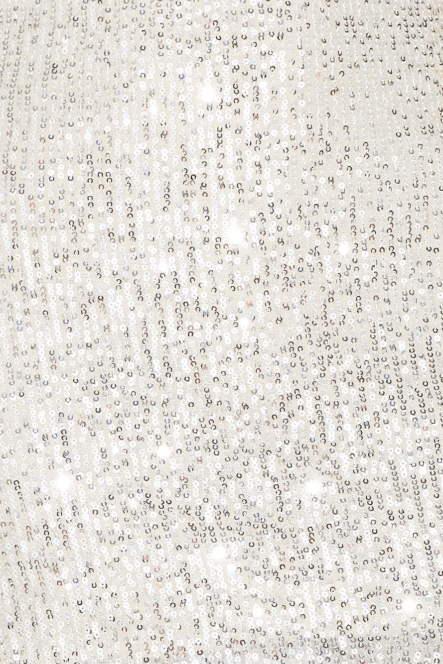 Sparkles Flying Sequins Mini Dress Silver