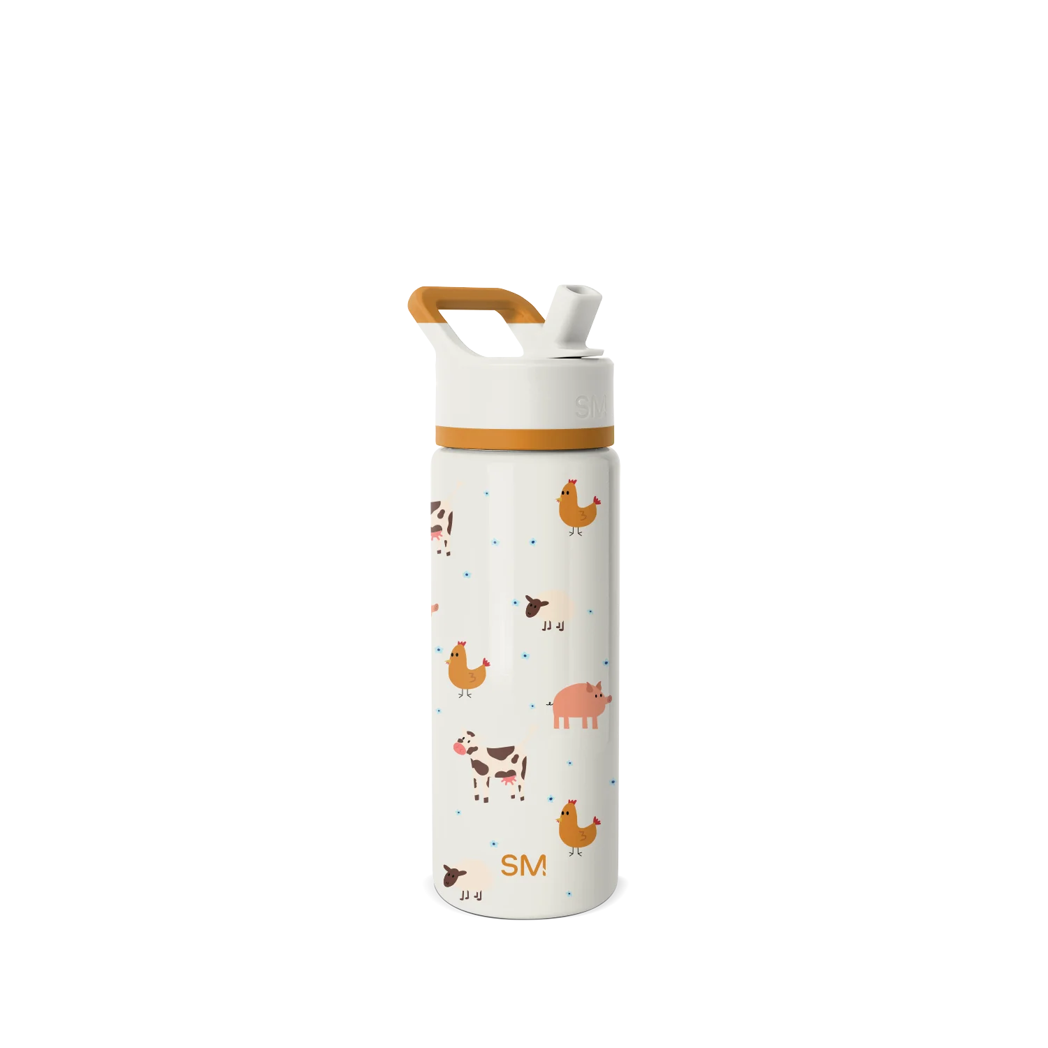 Summit Kids Water Bottle with Straw Lid
