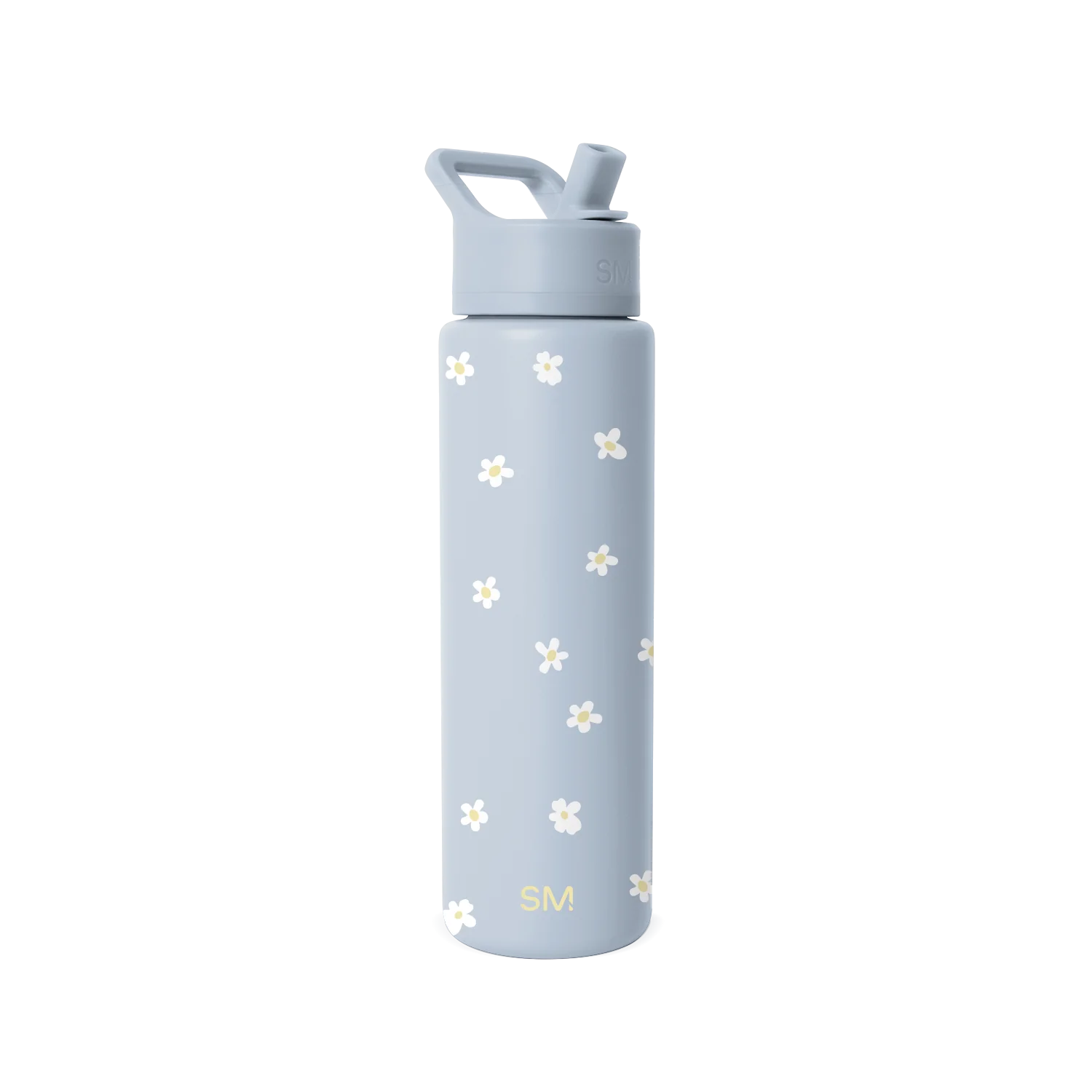 Summit Water Bottle with Straw Lid
