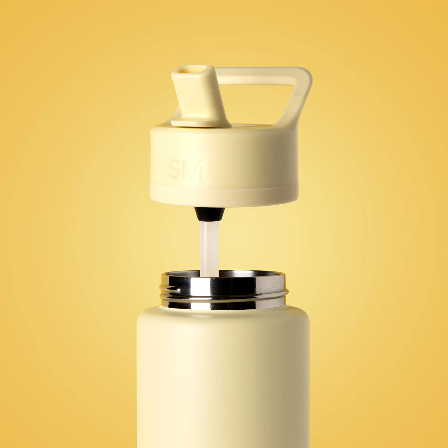 Summit Water Bottle with Straw Lid