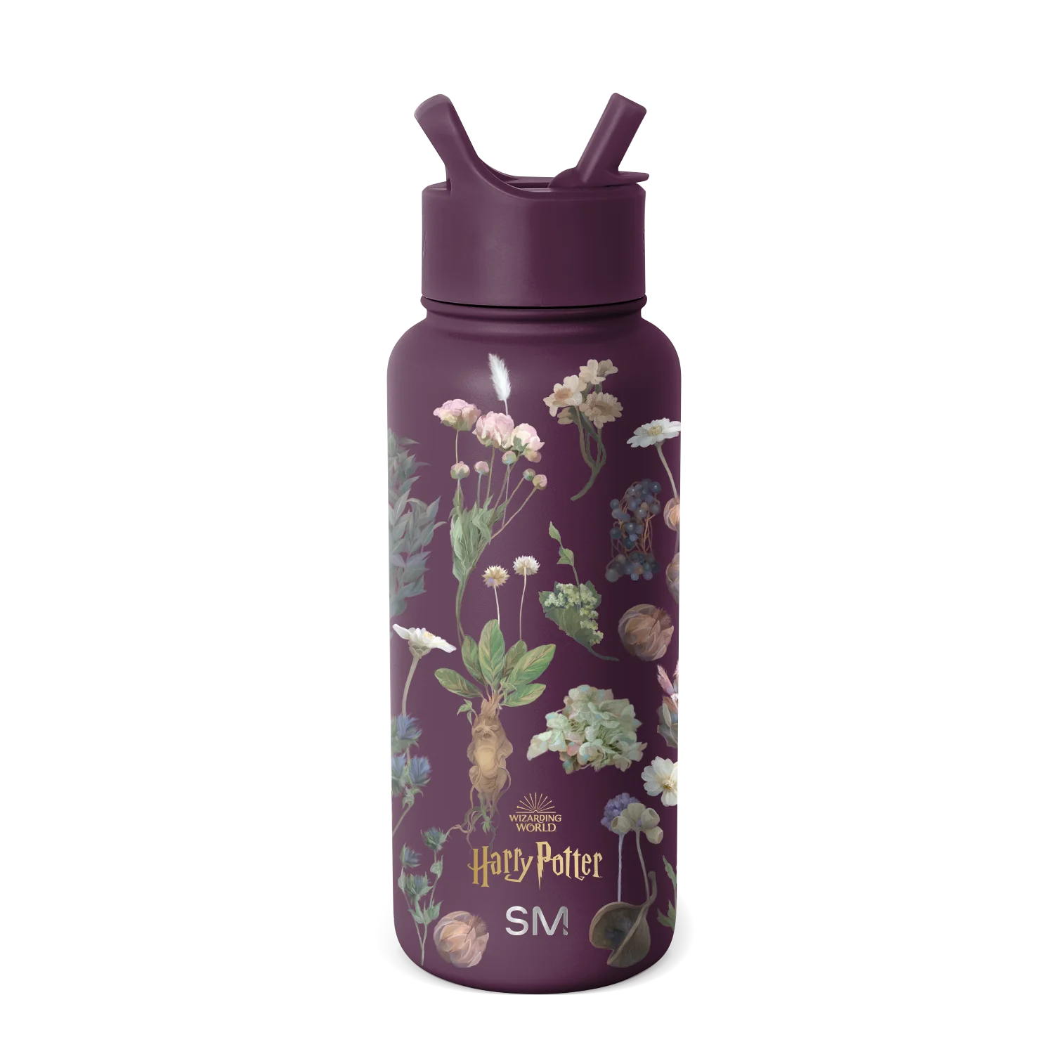 Summit Water Bottle with Straw Lid