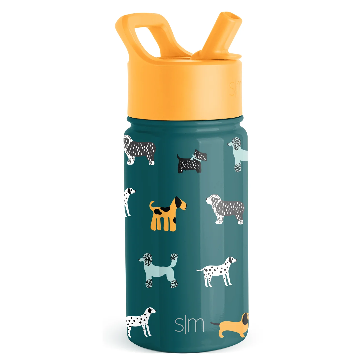 Summit Kids Water Bottle with Straw Lid