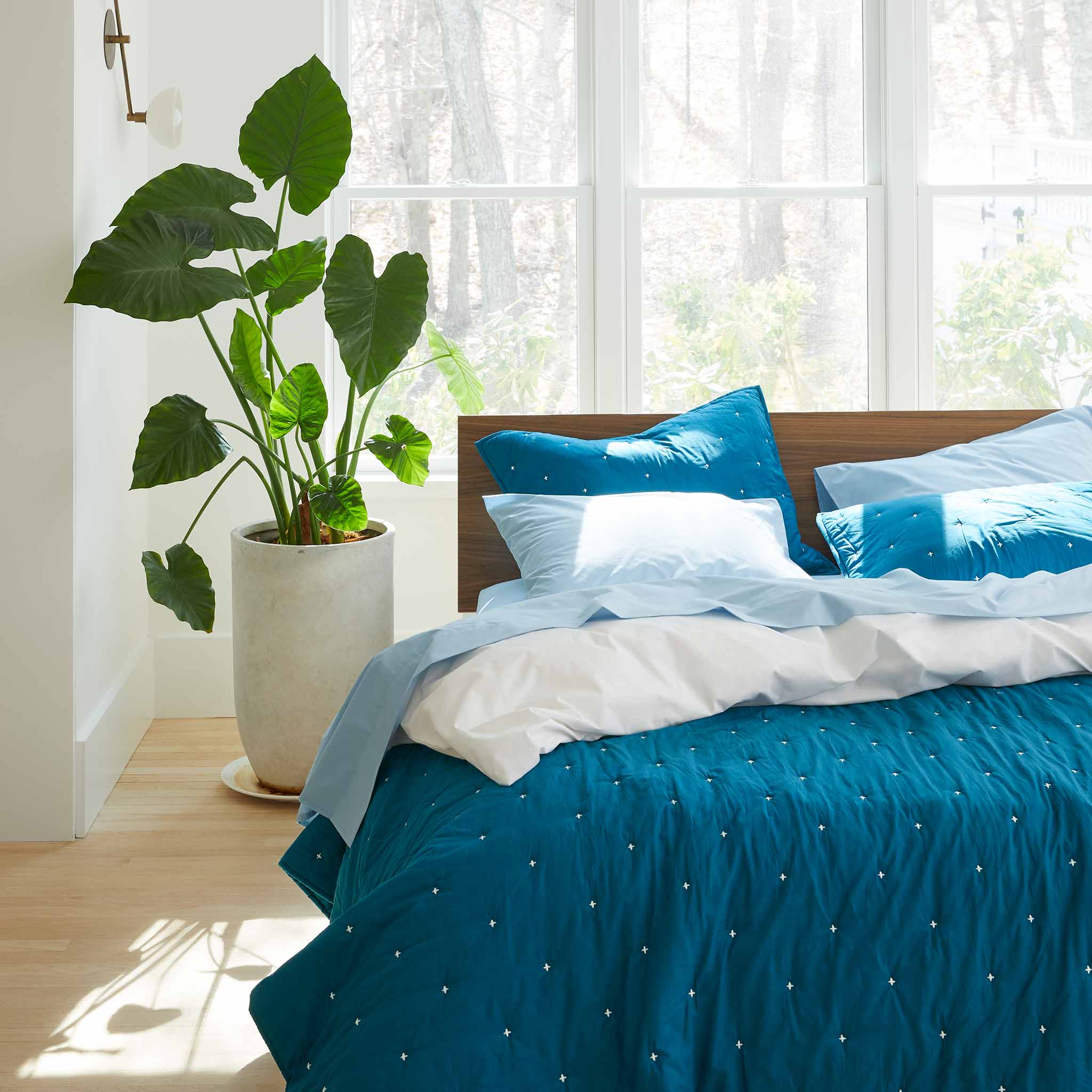 Lightweight Shams - Last Call