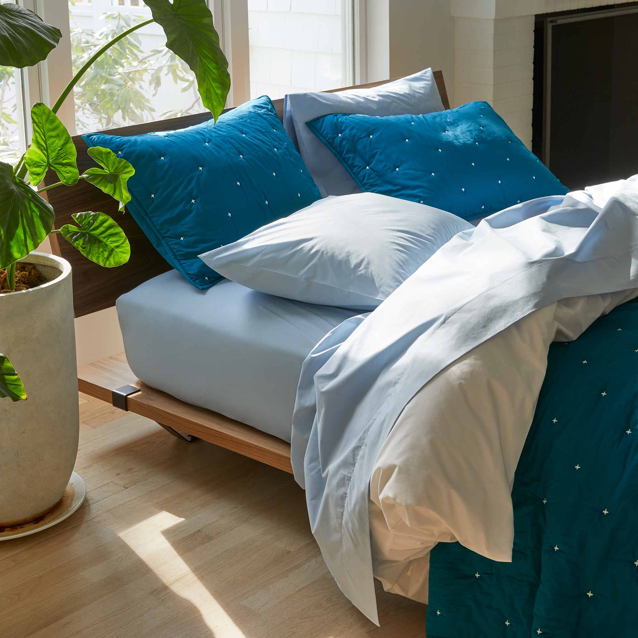 Lightweight Shams - Last Call