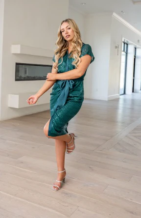 Hadley Subtle Sequin Button Dress