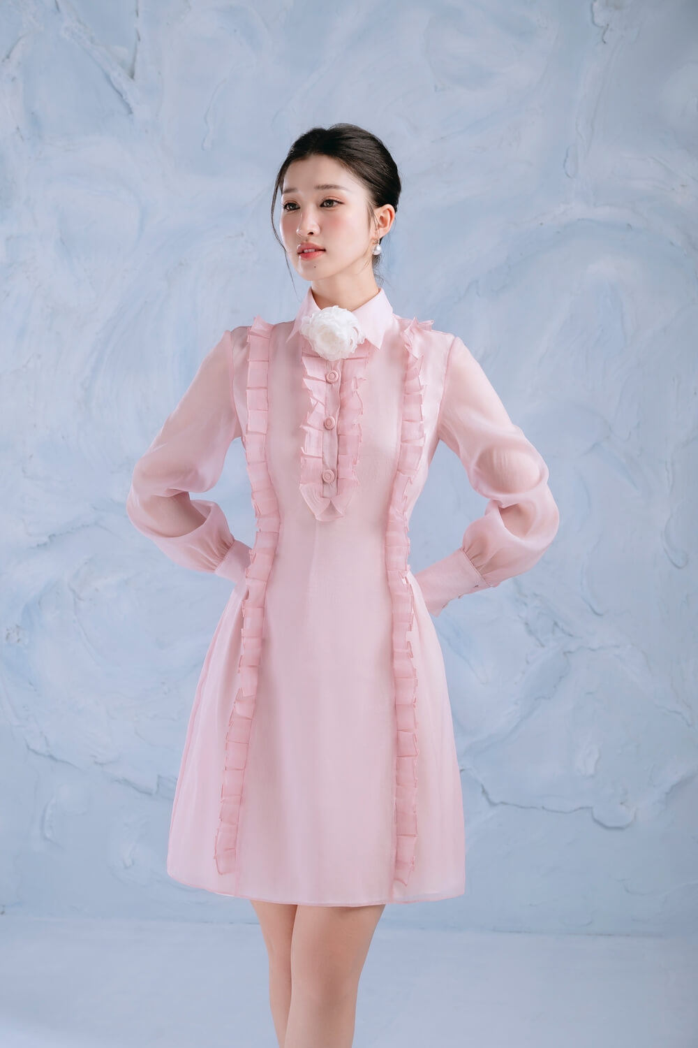 Rosie A-line Bishop Sleeved Organza Mini Dress