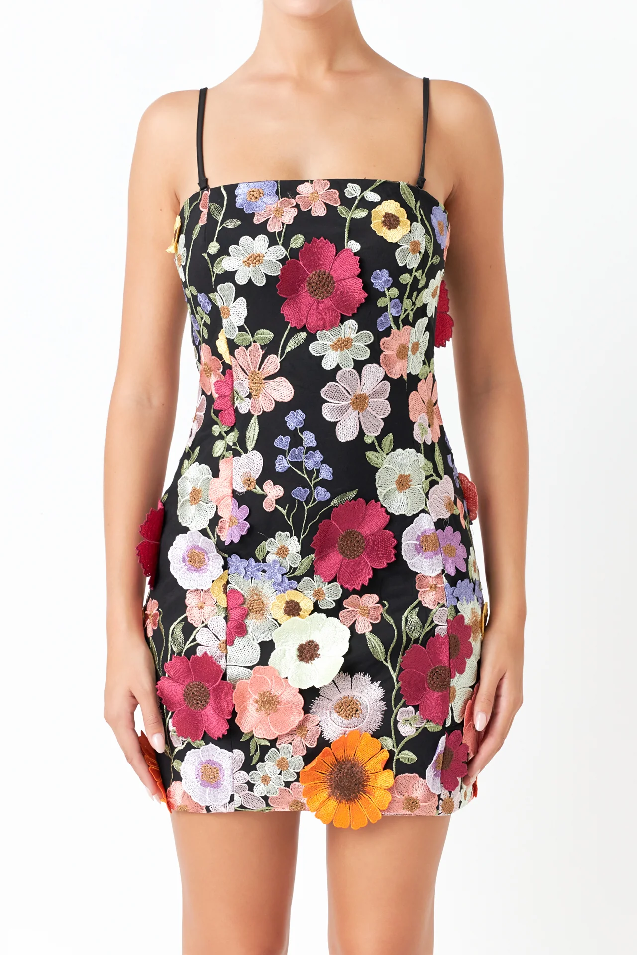 Floral Embroidered Mini Dress