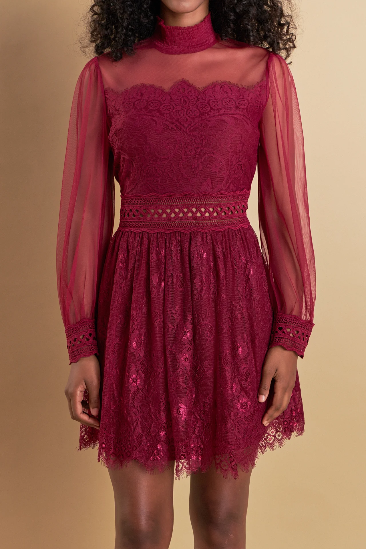 Long Sleeve Lace Mini Dress
