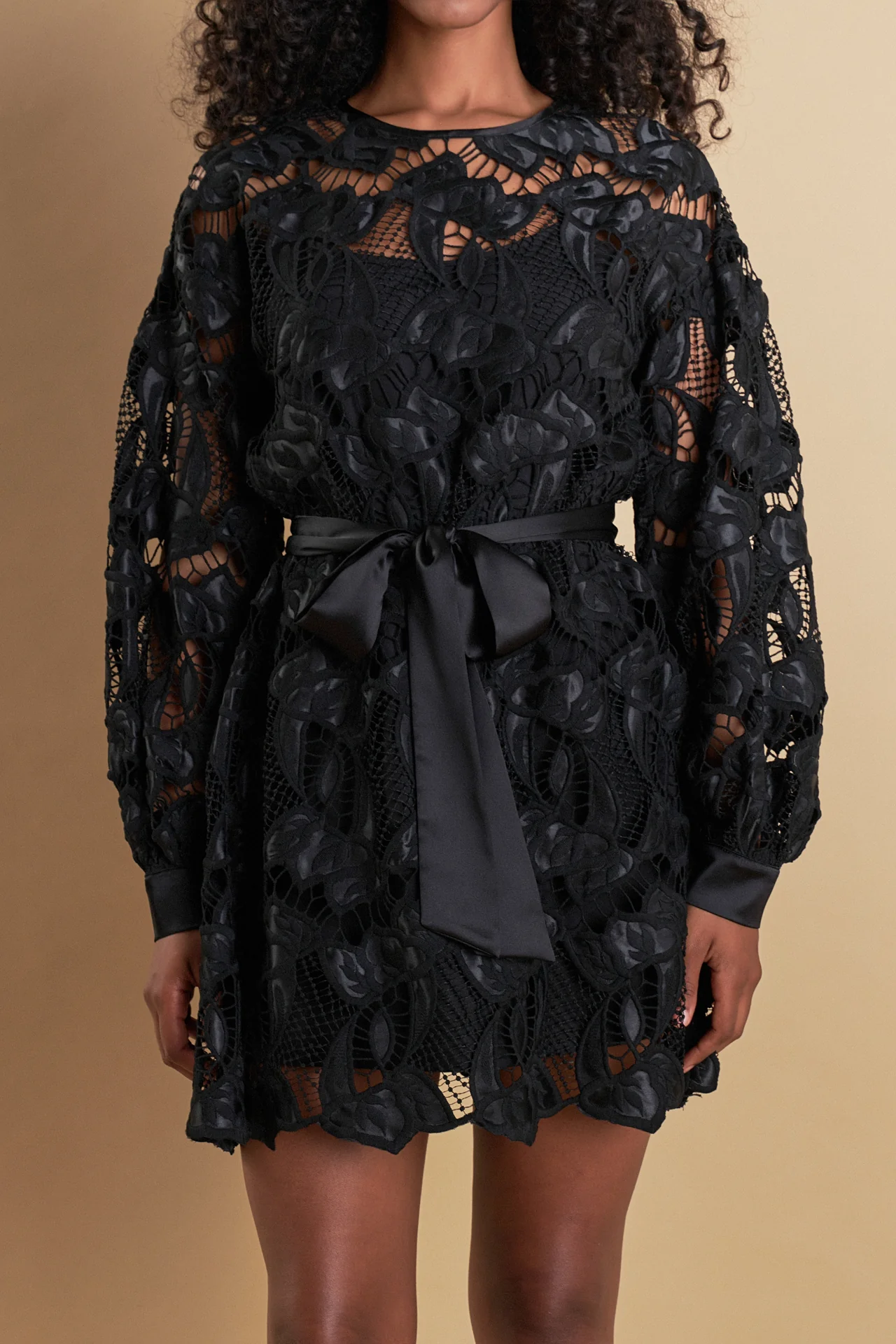 Lace Long Sleeve Mini Dress