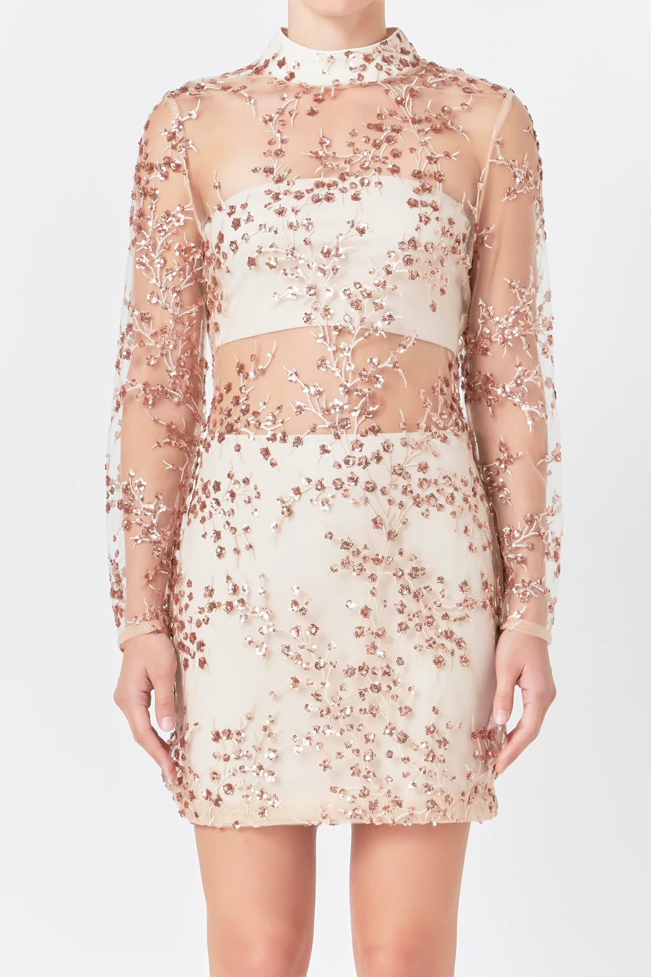 Sequins Embroidered Mini Dress