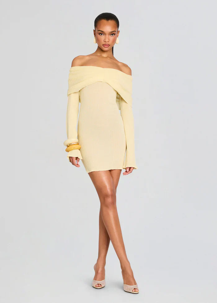 Xen Knit Mini Dress