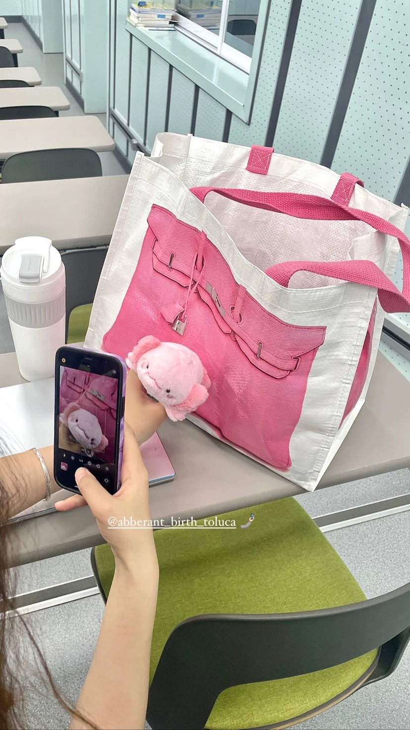 Grocery Bags Creative Parody Platinum Bag Print Woven Bag Fire Over The Net Birkin Fitness Casual Bag