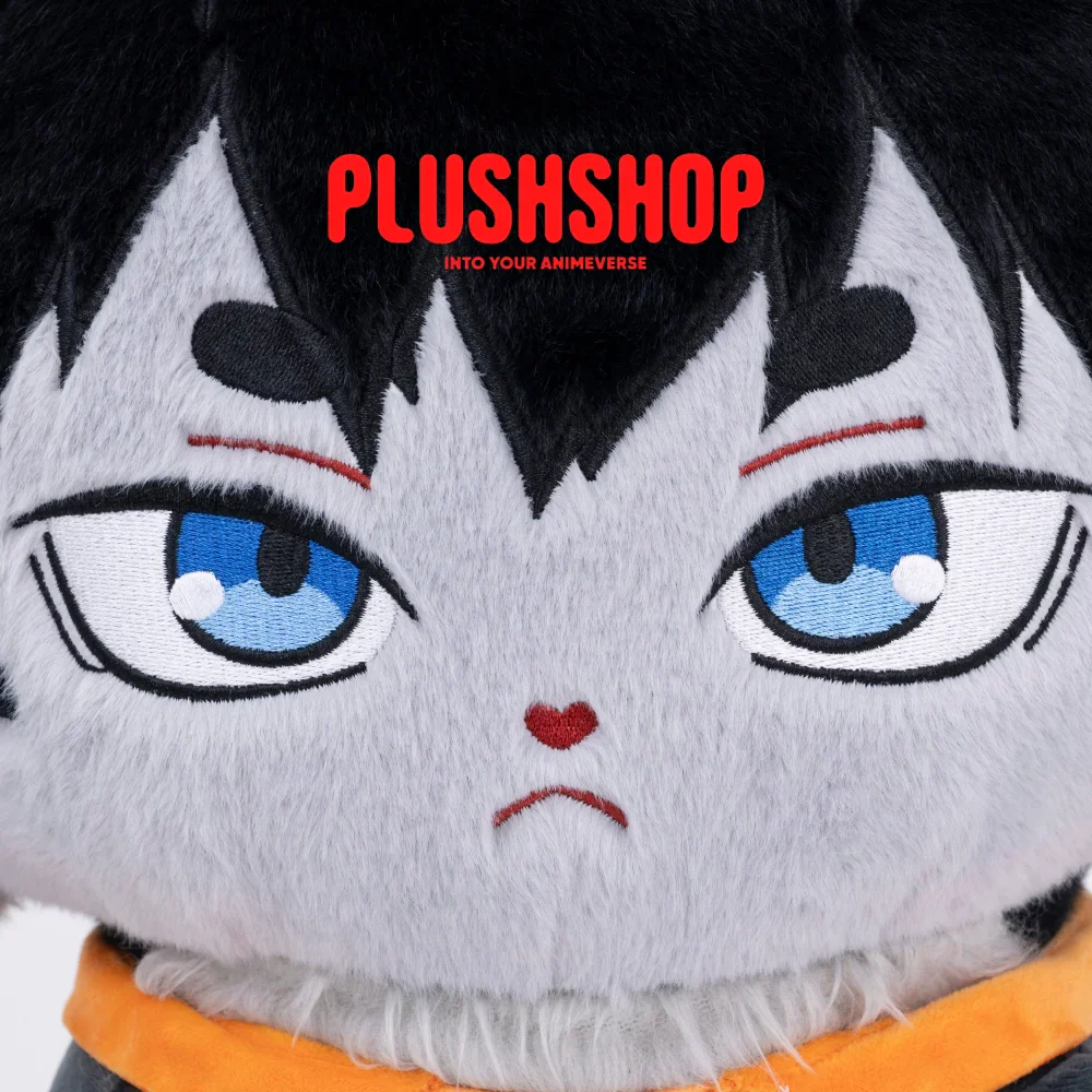 Kageyamameow (17IN)