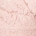 Dust Pink Lace Le Lune Dress