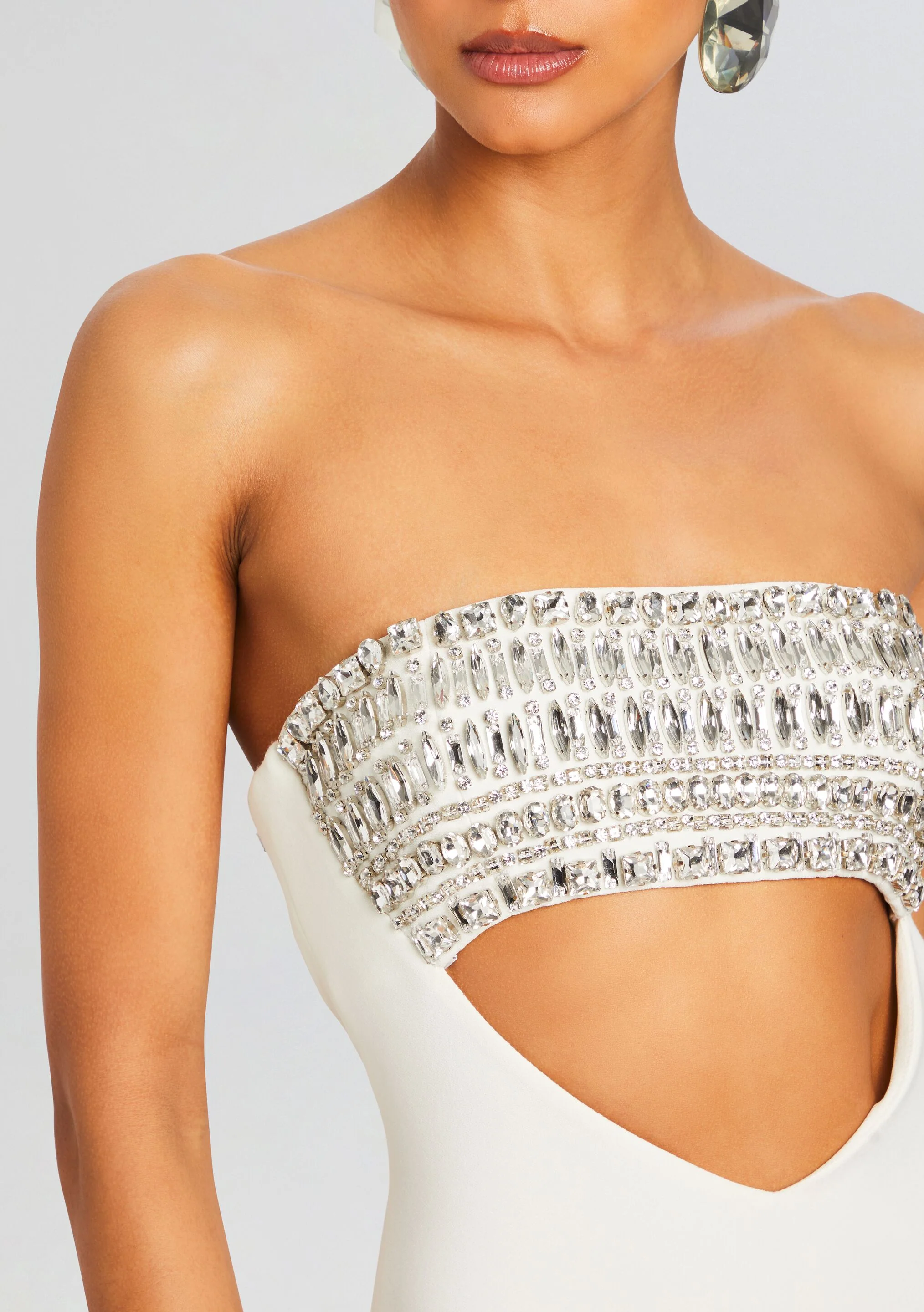 Swan Embellished Dress