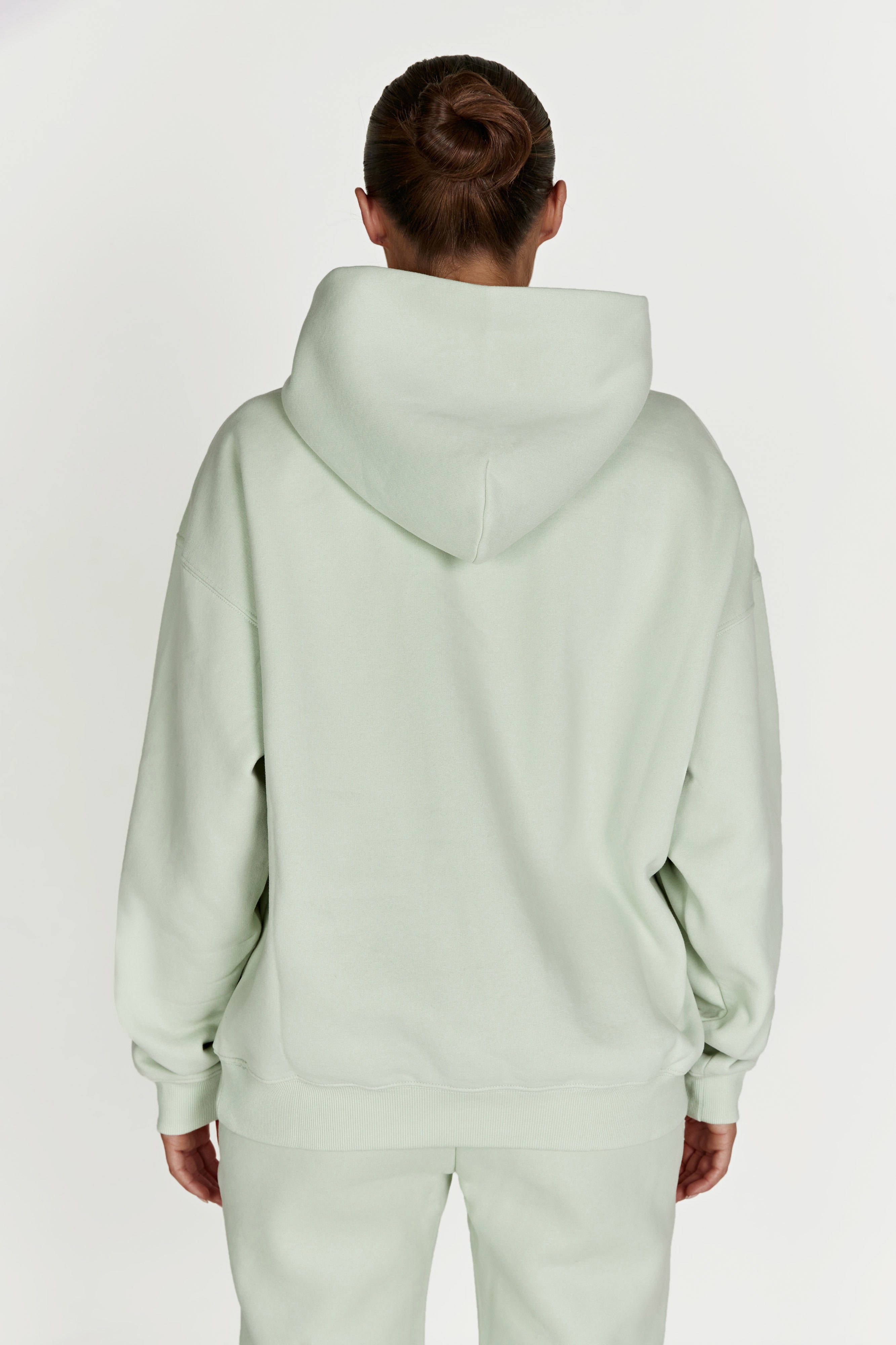 Bernie Oversized Unisex Hoodie - Light Sage