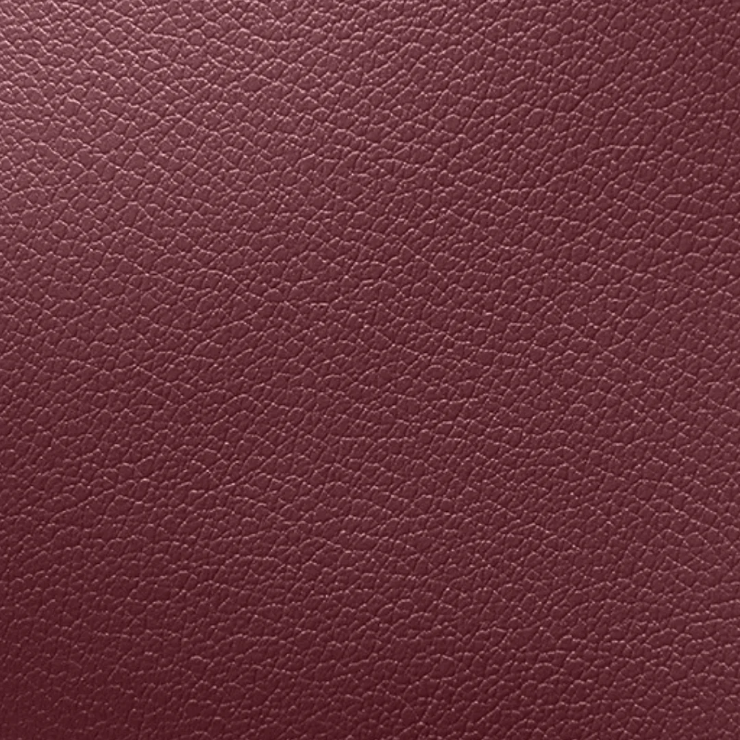 Cleo Structured Tote Bag