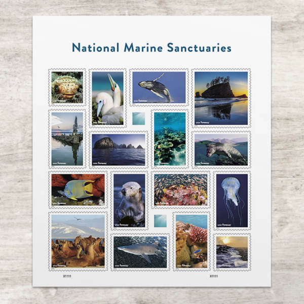 Forever Stamps First Class Postage Stamps National Marine Sanctuaries Stamps 96pcs/Pack