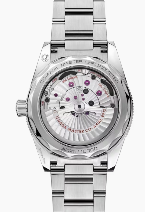 Omega Seamaster 300 Master Co?Axial Chronometer 41mm-P17331875