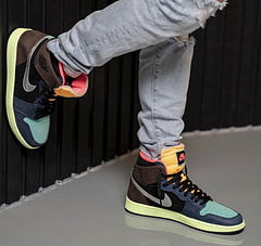 Air Jordan 1 High OG Bio Hack