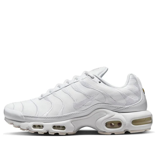 Nike Air Max Plus TN 'Triple White' AJ2029-100