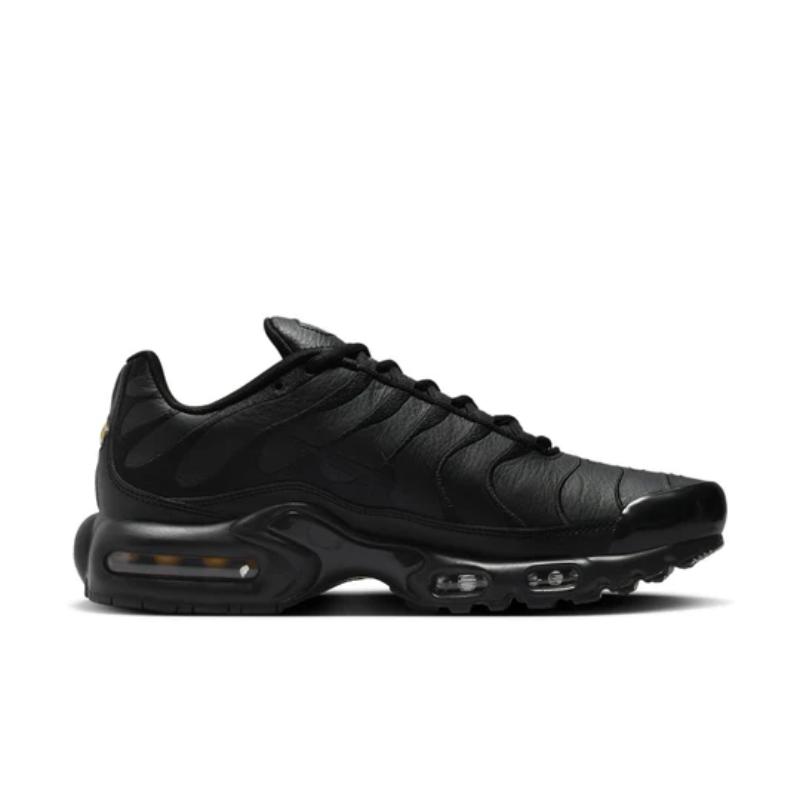 Nike Air Max Plus TN 'Triple Black' AJ2029-001