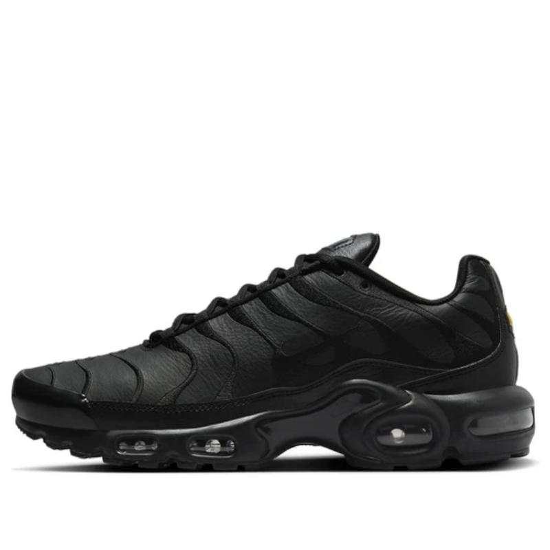 Nike Air Max Plus TN 'Triple Black' AJ2029-001