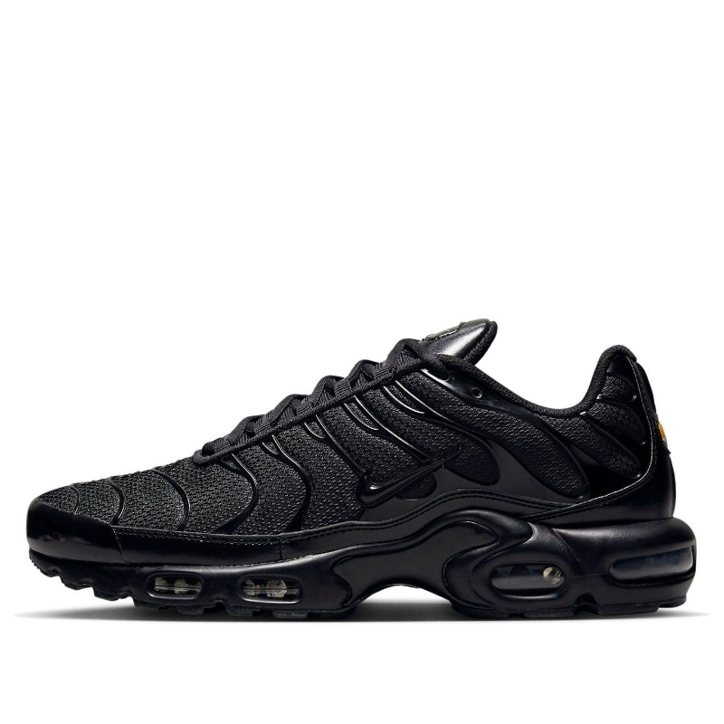 Nike Nike Air Max Plus 'Triple Black' 604133-050
