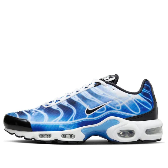 Nike Air Max Plus 'Light Photography - Old Royal' DZ3531-400